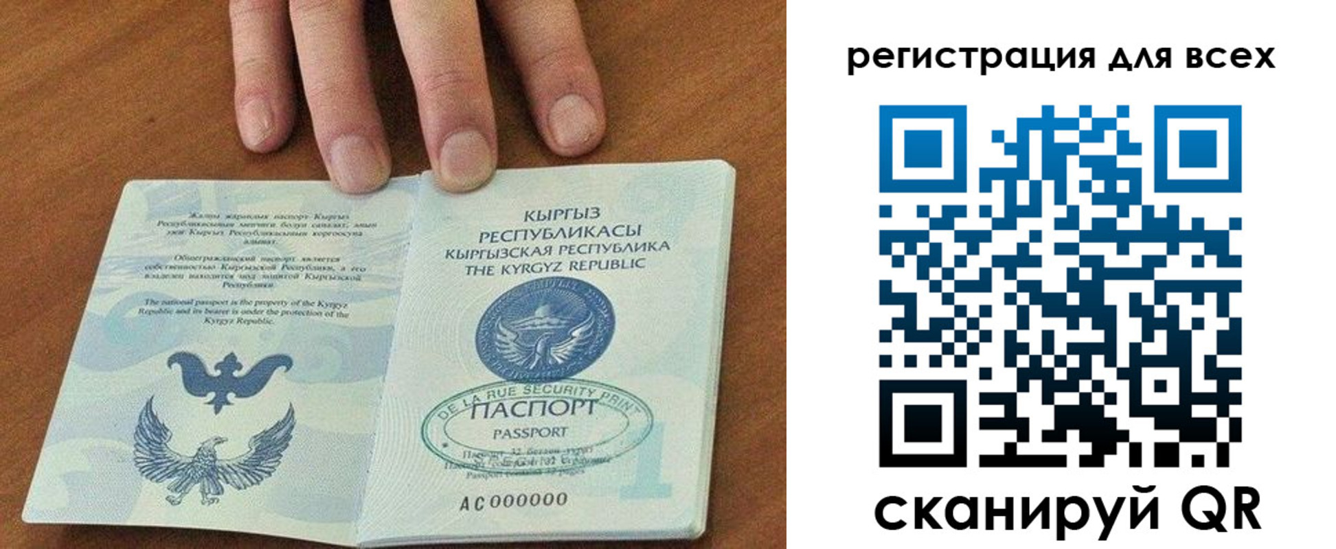 прописка для школы в Курганинске